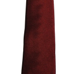 cravatta in seta brucle